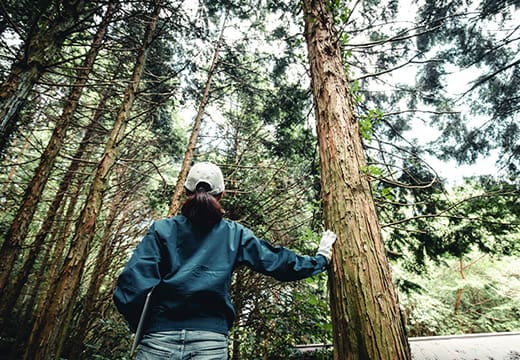苗木を植えるための整備から森林の自然サイクルを守る手伝い